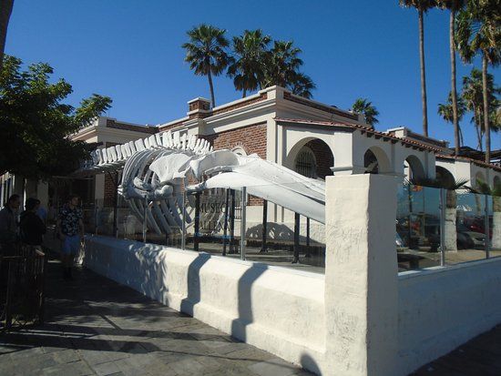 Museo de La Ballena